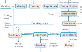 Corn Dry Milling Process Flow Diagram Download Scientific