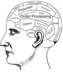 Explore the hornet and hippo parts of your brain with this cool coloring page that identifies different organs inside your brain. Brain Anatomy Coloring Book Pdf Novocom Top