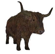 Cow Skyrim Wiki