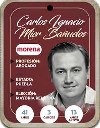 Quién es Carlos Ignacio Mier Bañuelos? Diputado por mayoría relativa de  Morena
