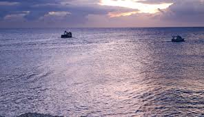 Check spelling or type a new query. Massa E Cozzile Coop Fi Supermercato In Toscana Unicoop Firenze