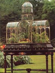 Pin By Hansan Yoo On Garden Wardian Case Terrarium Miniature Garden
