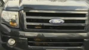 Using four words only, what would you say to me? Owl Gets Stuck In Car Grill Birds Know Your Meme