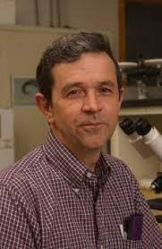 Merry Horne's Instagram, Twitter & Facebook