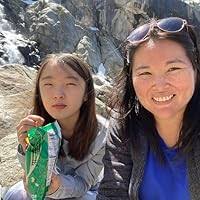 The Frontiersman's Daughter by Laura Frantz