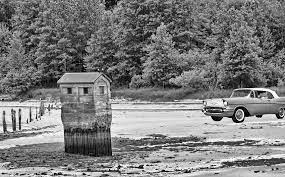 Louisiana outline with drove my chevy to the levee but the levee was gone. Drove My Chevy To The Levee But The Levee Was Dry B W Topaz Discussion Forum