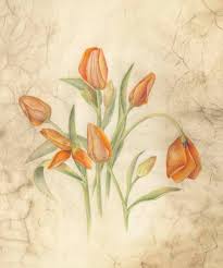 Lapincohenadremtulips Jpg 576 689 Pixels Watercolor Flower Art Botanical Art Painting
