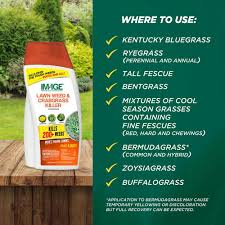 How To Get Rid Of Crabgrass In 2024 (Kill + Prevent Crabgrass) Lawn Phix