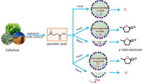 Savesave tsdiagram diagram yang bagus for later. Stable Yolk Structured Catalysts Towards Aqueous Levulinic Acid Hydrogenation Within A Single Ru Nanoparticle Anchored Inside The Mesoporous Shell Of Hollow Carbon Spheres Sciencedirect