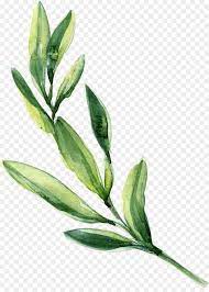 Watercolor Flowers Png Images Vector And Psd Files Free Download On Pngtree Watercolor Leaves Watercolor Flower Background Watercolor Flowers Paintings