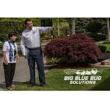 Learn about bed bugs and bed bug pest control methods. Big Blue Bug Solutions Pest Control Exterminators Shrewsbury Ma