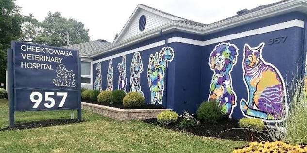 Veterinary Hospitals