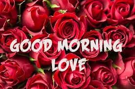 Check spelling or type a new query. Good Morning Love Images Picture Photo Wishes For Whatsapp
