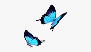 Donate the creator to keep us alive : Transparent Background Flying Blue Butterfly Png Novocom Top