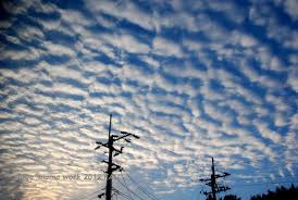 「秋の雲」の画像検索結果