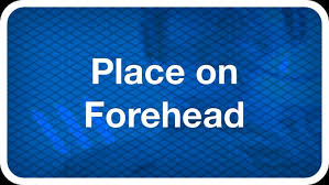 You'll be able to watch new videos of your favorite guests on the show, clips from past seasons, original ellentube series from. Heads Up For Iphone Download