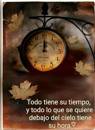 Pin De Eliana Mendoza En Frases Relojes Antiguos Reloj Relojes De Pared