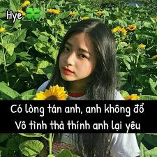1001 Stt Vui Vẻ Hài Hước Ngắn Gọn Hay Nhất | Quotes girls, Lời ...