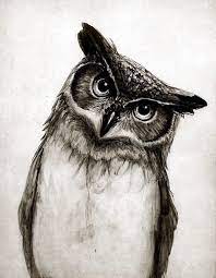 40 Realistic Animal Pencil Drawings Pencil Drawings Of Animals Realistic Owl Tattoo Owls Drawing