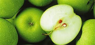 Der wilde oder holzapfelbaum, mit herben früchten und dornigen zweigen, in ganz mittel und südeuropa. Der Apfel Allergie Auf Der Spur