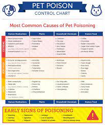 Memorize These Foods Dogs Should Avoid Pet Poison Pet Health Pet Emergency