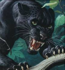 Black panther says it with a roar panteras felino felino pantera animales. Pin On Exotic Cats Leopards Cheetahs And More