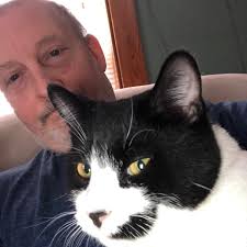 What are the orange stakes and flags for