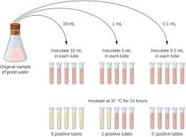 Most Probable Number Mpn Test Principle Procedure And