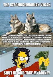 Give Me All The Czechoslovakian Vlcak You Have Although I Can't ...