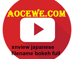 Justru kalian dapat selvie bersama bule. Xnview Japanese Filename Bokeh Full 2020 Aocewe Com