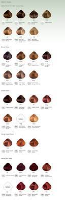 Pravana Chromasilk Hair Color Pravana Hair Color Hair Color Matrix Hair Color