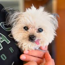 hi im right here 😋