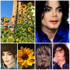 Celebrating JW's life ❤️ #forever