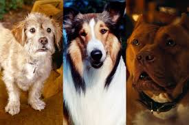 Best Movie Dogs of All Time