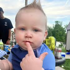 Favorite quick & simple dips with cream cheese? Nothing spicy please!