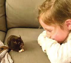 Rodney Whitten's Instagram, Twitter & Facebook