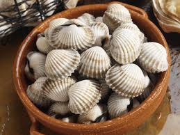 We did not find results for: Clam Storage And Selection
