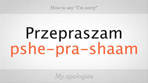 How To Say I M Sorry In Polish Polish Lessons Youtube