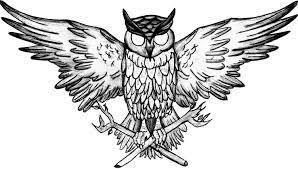 So, tak perlu takutlah dengan burung hantu ya. Owl Drawind By Califa Tattoo Burung Hantu Tato Burung Tato Burung Hantu