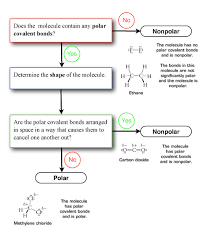 Diagram Of Polarity Schematics Online