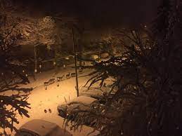 Bagno Di Romagna Tra La Neve Ecco Alcuni Caprioli A Passeggio