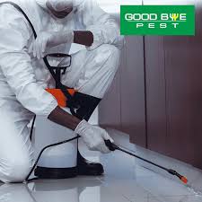 While there are effective forms of lethal pest control, there are different situations where people would prefer humane pest. Why Pest Control Is Necesary Live A Pest Free Life In Kolkata