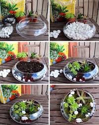 Arrangements Arrangements Succulent Succulent Desired Garden Plants Garden Plants Ideas Glass Plants Diy Succulent Terrarium Succulent Garden Indoor
