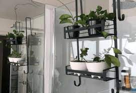 8 Cute And Functional Shower Caddies For Dorm Living Modern Bathroom Decor Shower Caddy Dorm Living