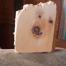 WeRateDogs | Today we are recognizing dogs whose souls are trapped in wood. We do not know how they got in there, but we imagine zoomies were involved.... | Instagram