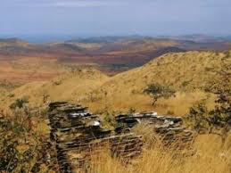 Image result for Globimetula mweroensis