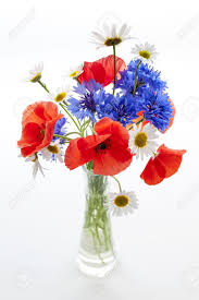 Voilà un magnifique bouquet de coquelicots durance — bouquet parfumé coquelicot 100ml. Associe Au Bleuet Et A La Marguerite Le Coquelicot Est L Embleme Floral De La France Http Bouquet De Fleurs Sauvages Fleurs Sauvages Bouquet De Coquelicots