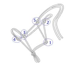Part to of halter tying made simple: Making Your Own Rope Halter Step By Step