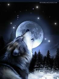 Wolf Moon Wolfpictures Wolf Howling Wolf Spirit Animal Wolf Images