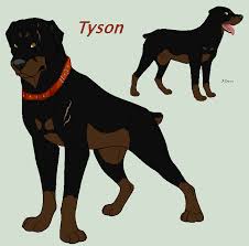 Tyson By Windhaven Kennel Dog Design Art Dog Drawing Canine Art